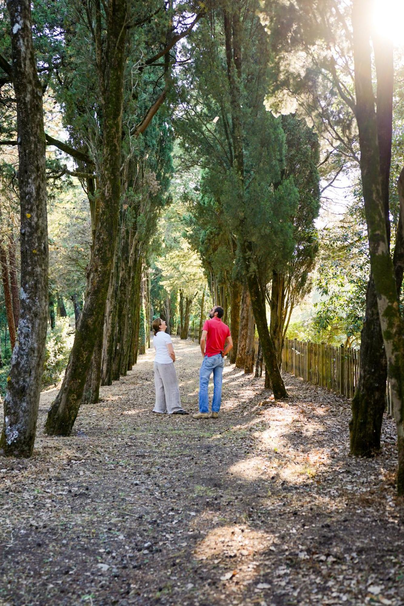 Borgo Di Camporsevoli Villa Bagian luar foto